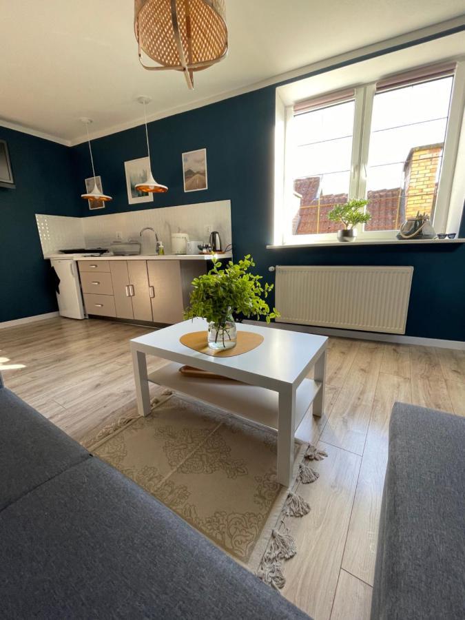 Przy Starowce Apartment
